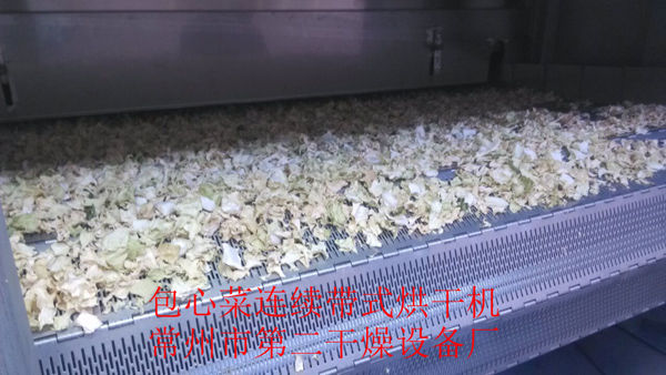 DWD 帶式脫水蔬菜干燥機(jī)